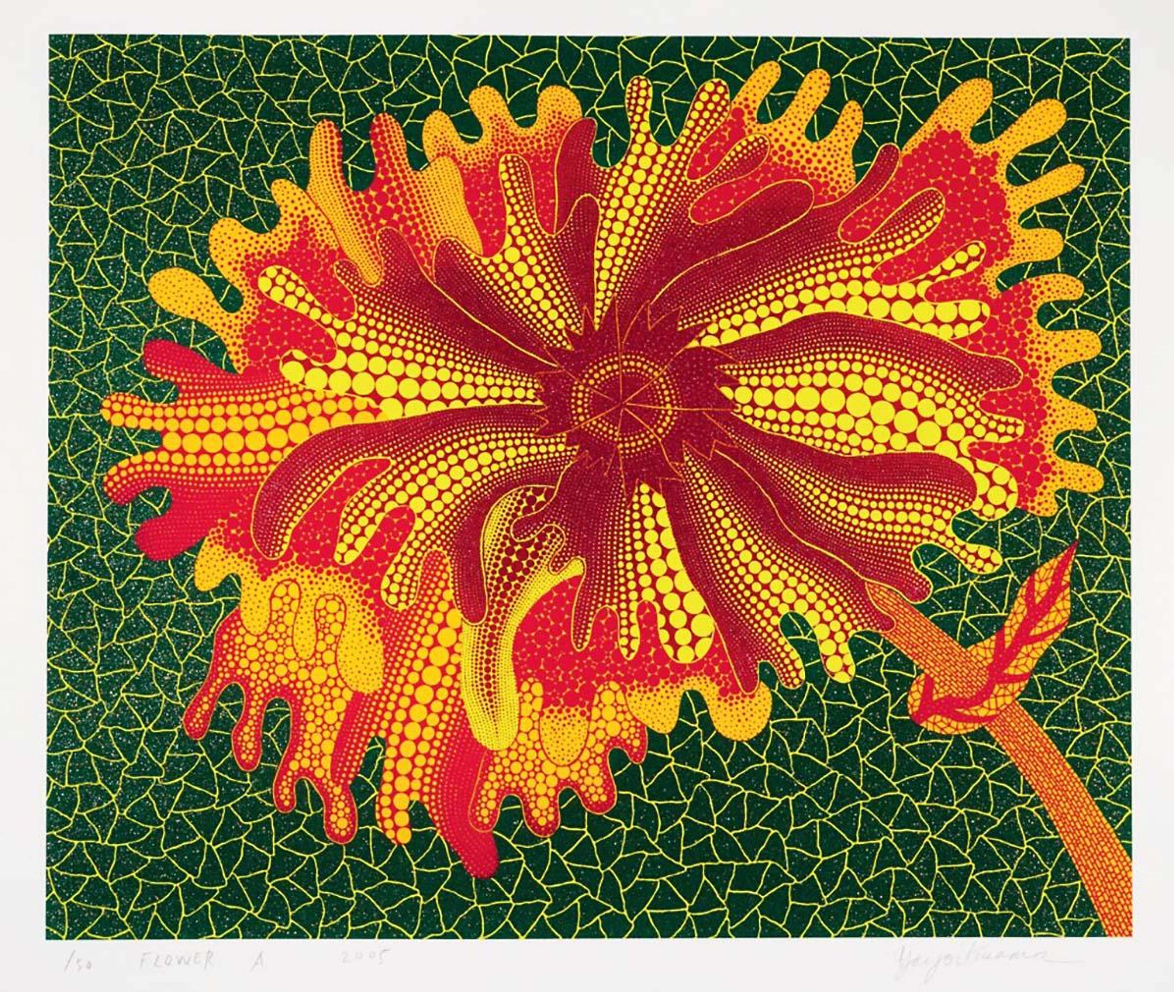 Une fleur jaune, rouge et orange délimitée par des points et des aplats de couleur, sur un fond vert à motif de filet.