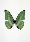 The Souls III (leaf green, silver gloss, raven black) - Signed Print