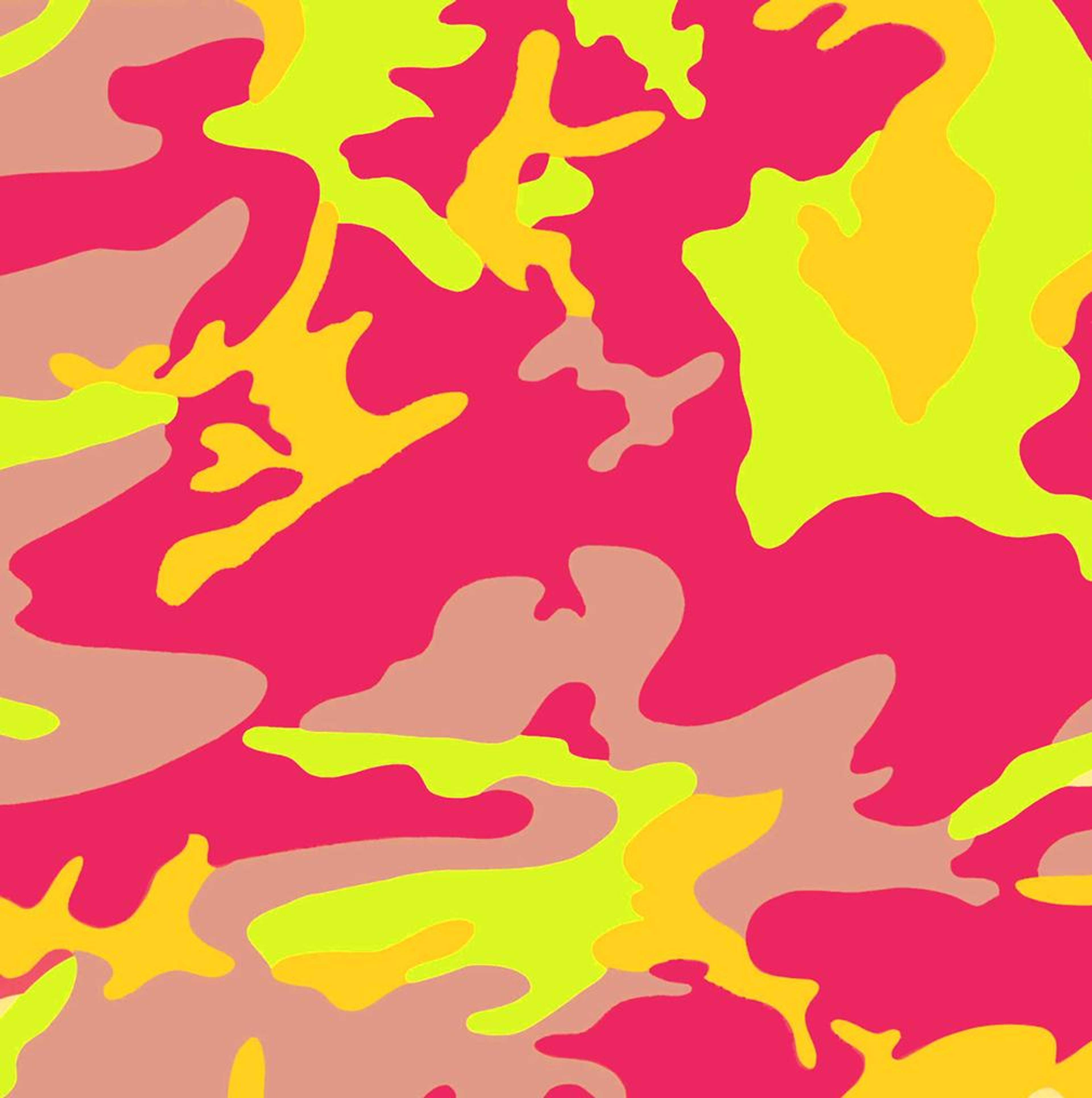 Camouflage (F. & S. II.409) by Andy Warhol
