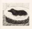 Dog Etching No. 5 - Signed Print