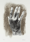 The Artist's Hand
