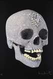 For The Love Of God, The Diamond Skull - Signed Print