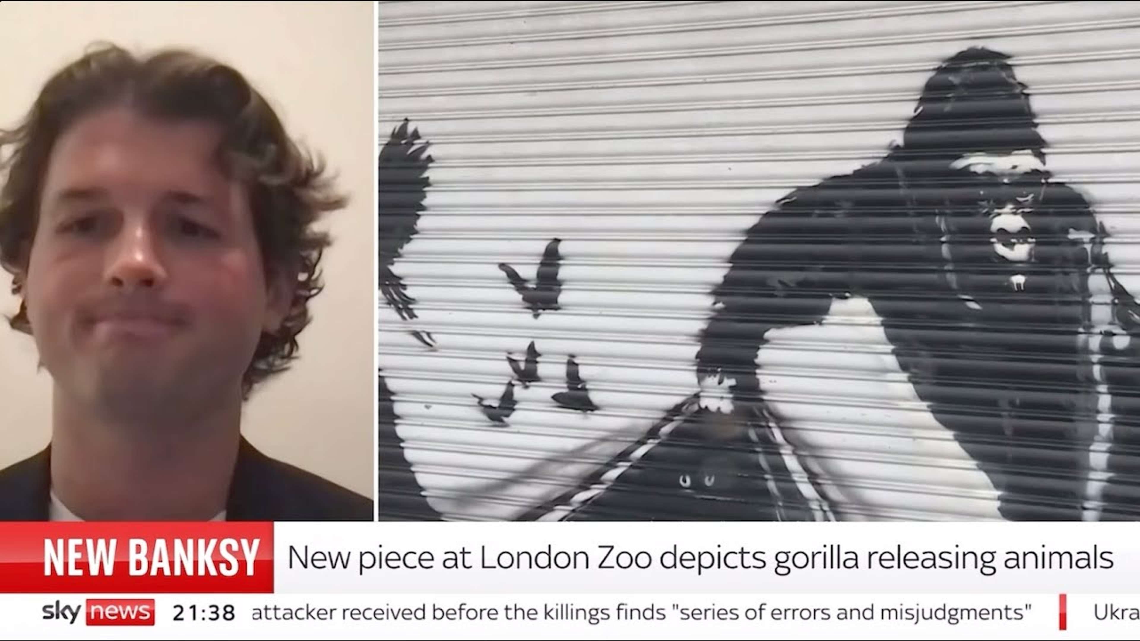 Le spécialiste de Banksy chez MyArtBroker sur Sky News : Le Zoo de Londres de Banksy