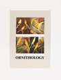 Peter Blake: O Is For Ornithology - Signed Print