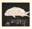 The Boy Hidden In A Fish - Signed Print