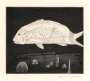 David Hockney: The Boy Hidden In A Fish - Signed Print
