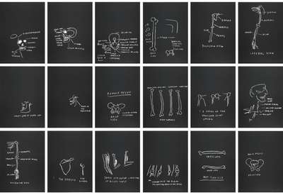 Anatomy (complete set) - Signed Print by Jean-Michel Basquiat 1982 - MyArtBroker
