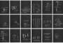 Jean-Michel Basquiat: Anatomy (complete set) - Signed Print