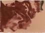 Helen Frankenthaler: Altitudes - Signed Print