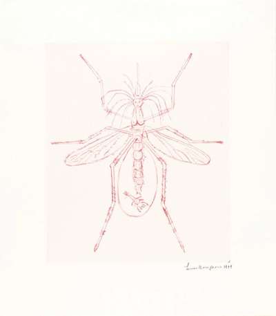 Mosquito - Signed Print by Louise Bourgeois 1999 - MyArtBroker