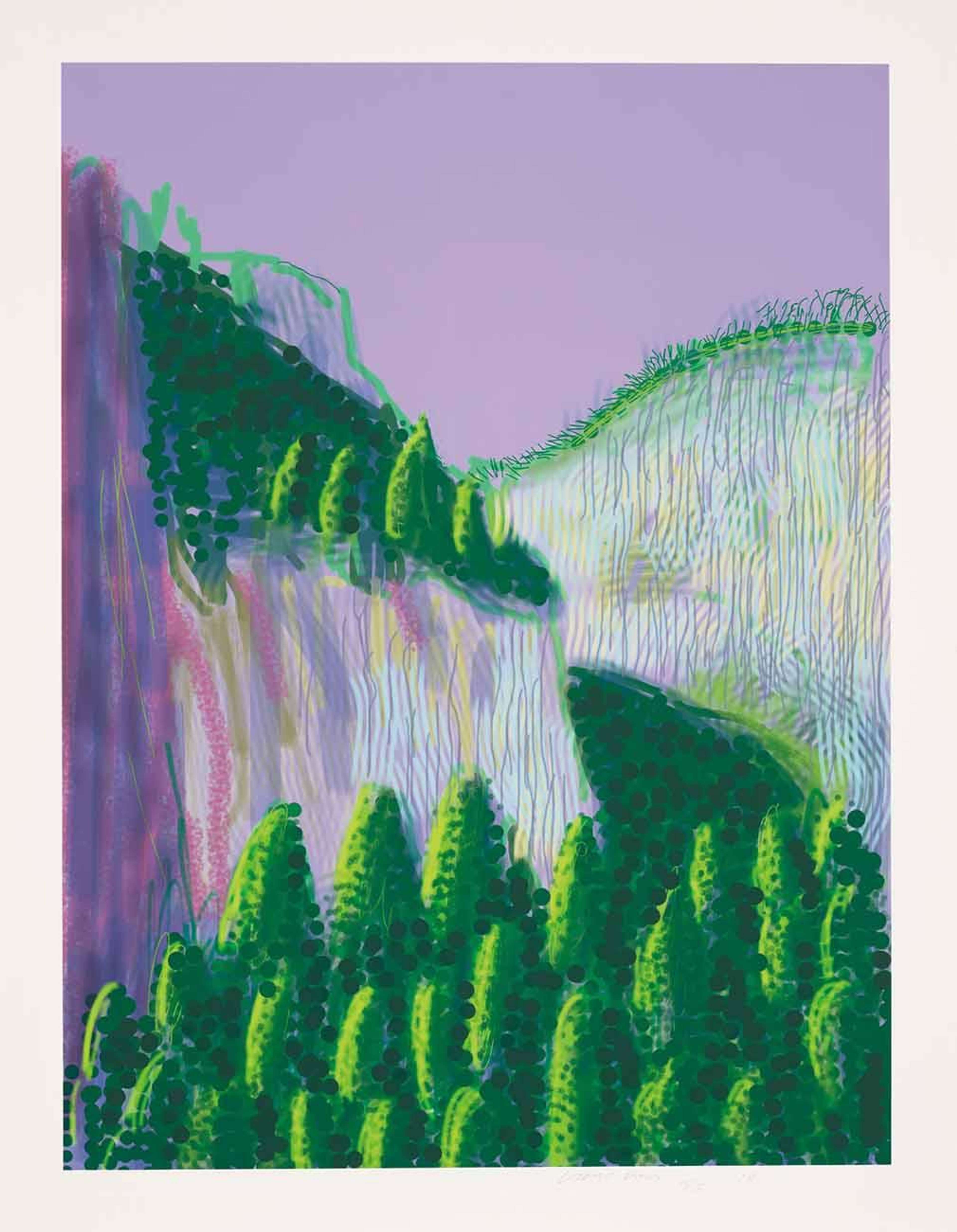 « The Yosemite Suite 11 » de David Hockney. Une estampe numérique représentant un paysage du parc national de Yosemite, en Californie. Une forêt de pins vert foncé se découpe sur un ciel violet doux.