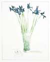 Still Lifes