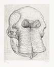 Elephant Skull I - Signed Print