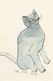 Cats Named Sam IV 68 - Unsigned Print