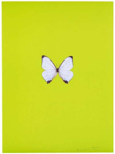 New Beginnings 2 - Signed Print by Damien Hirst 2011 - MyArtBroker