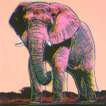 African Elephant (F. & S. II.293) - Signed Print