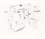 Joan Miro: Daphnis Et Chloé - Signed Print