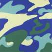 Camouflage (F. & S. II.411) - Signed Print