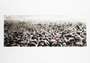 Pejac: Heavy Sea - Signed Print