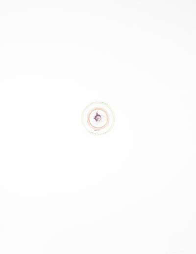 Ring A Ring A Roses - Signed Print by Damien Hirst 2002 - MyArtBroker