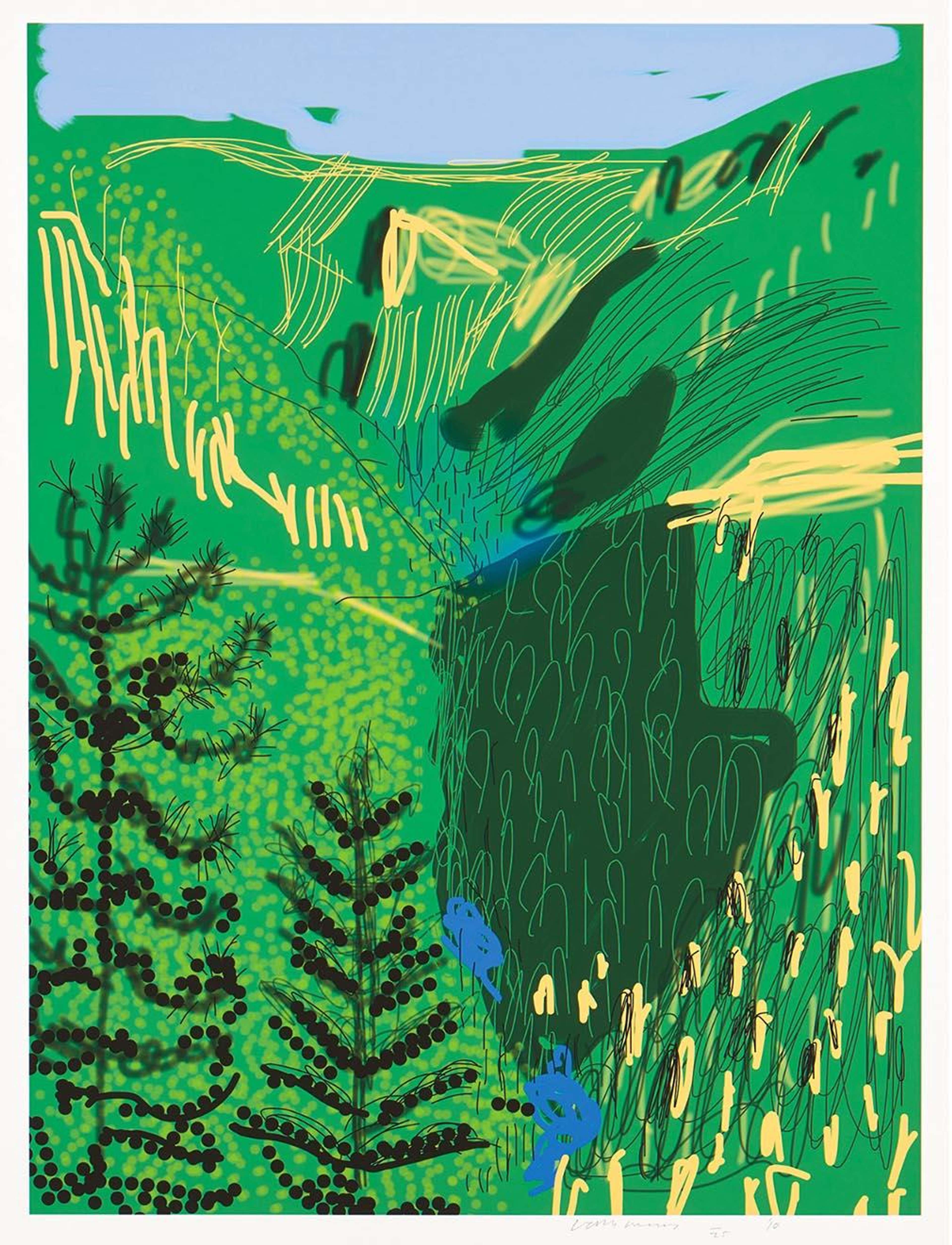 The Yosemite Suite 21 by David Hockney
