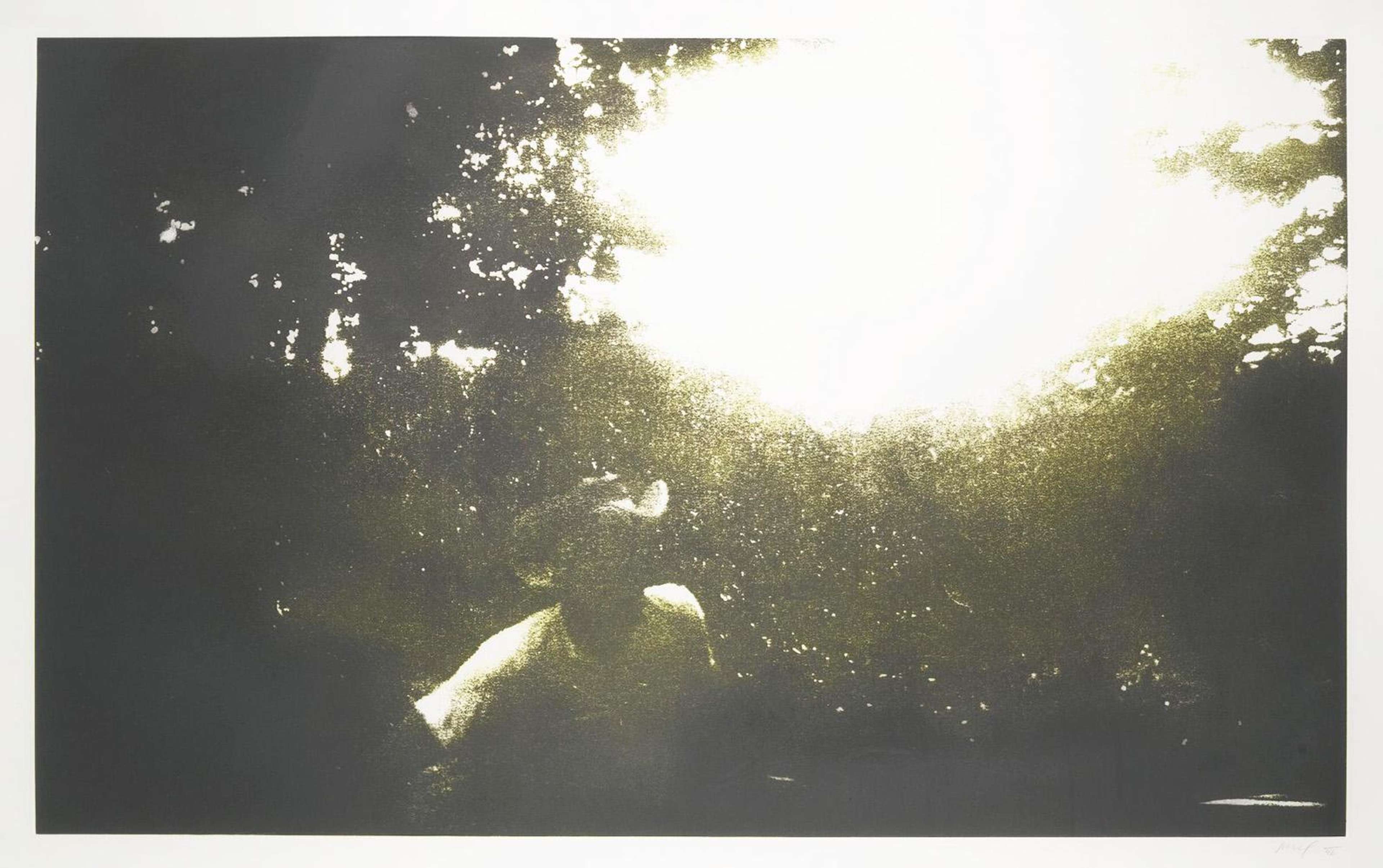 Photographie monochrome aux nuances verdâtres et brumeuses, représentant un homme coiffé d'un chapeau de style Stetson traditionnel. Son visage et ses traits se fondent dans l'obscurité des arbres derrière lui. La lumière du soleil filtre à travers les arbres, créant un effet de « flare » presque brûlé sur l'objectif.