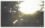 Peter Doig: Drifter - Signed Print