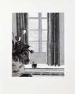 Rue De Seine - Signed Print