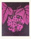 Grapes - Signed Print