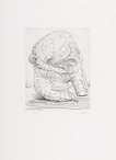 Elephant Skull VII - Signed Print