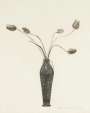 David Hockney: Tulips - Signed Print