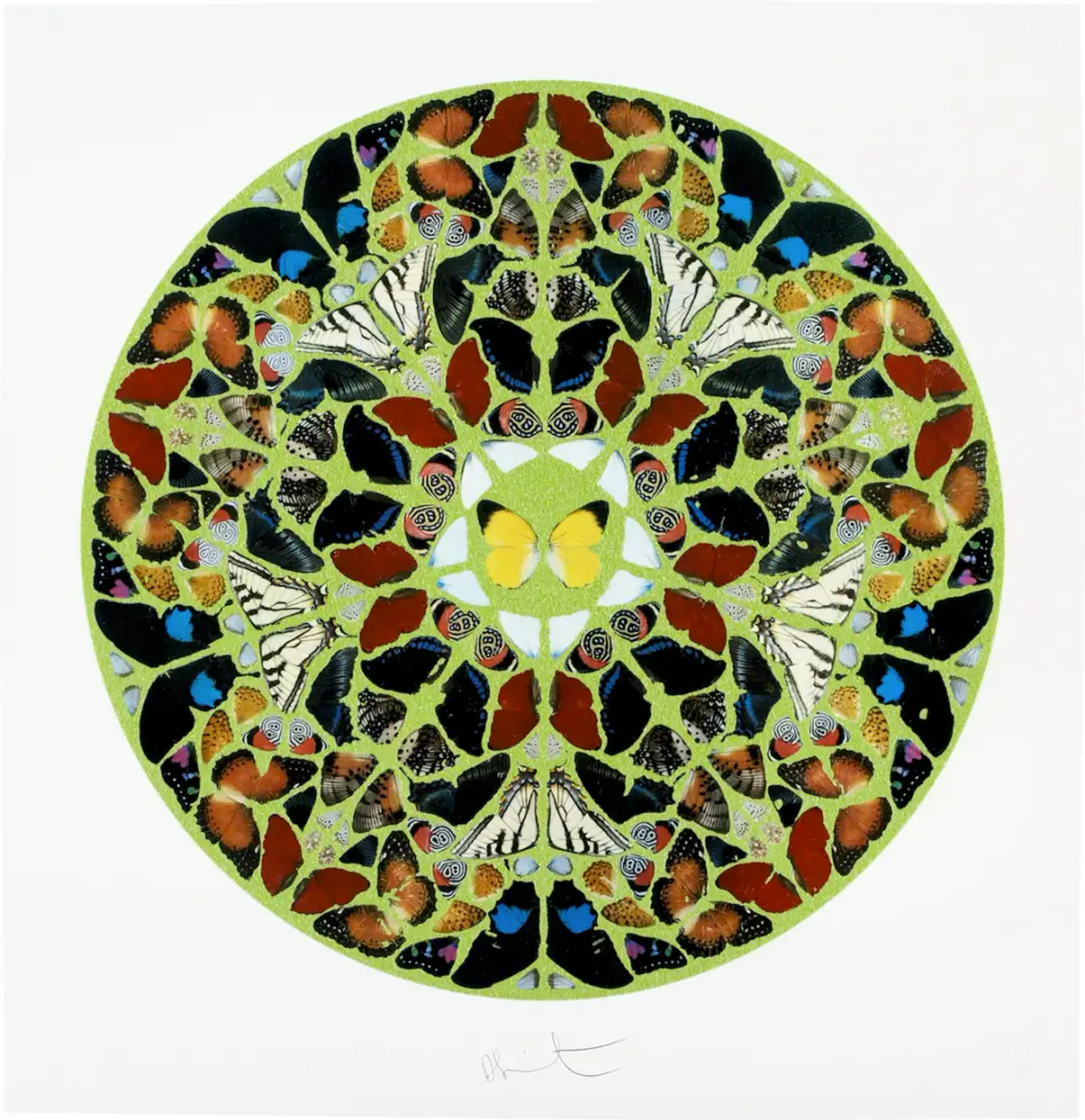 La préoccupation de Damien Hirst pour les kaléidoscopes