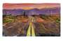 Bob Dylan: Endless Highway - Signed Print