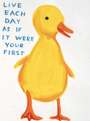 David Shrigley: Live Each Day As If It Were Your First - Signed Print