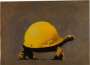 Banksy: Tortoise Helmet - Signed Mixed Media