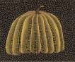 Pumpkin (yellow Y) , Kusama 148 - Signed Print