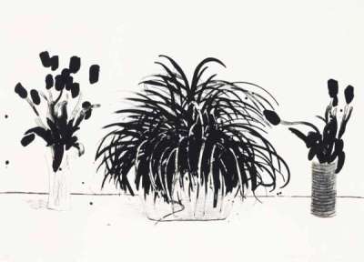 Two Vases Of Cut Flowers And A Liriope Plant - Signed Print by David Hockney 1979 - MyArtBroker