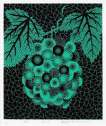 Grapes - Signed Print