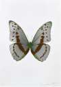 Damien Hirst: The Souls III (silver Gloss, chocolate, leaf green) - Signed Print