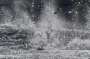 Damien Hirst: H13-10 Blizzard - Signed Print