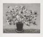Auction Table Image