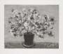 David Hockney: Black Wire Plant - Signed Print