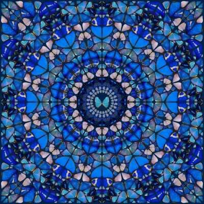H6-5 Truth - Signed Print by Damien Hirst 2015 - MyArtBroker
