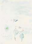 Tilia Cordata - Signed Print