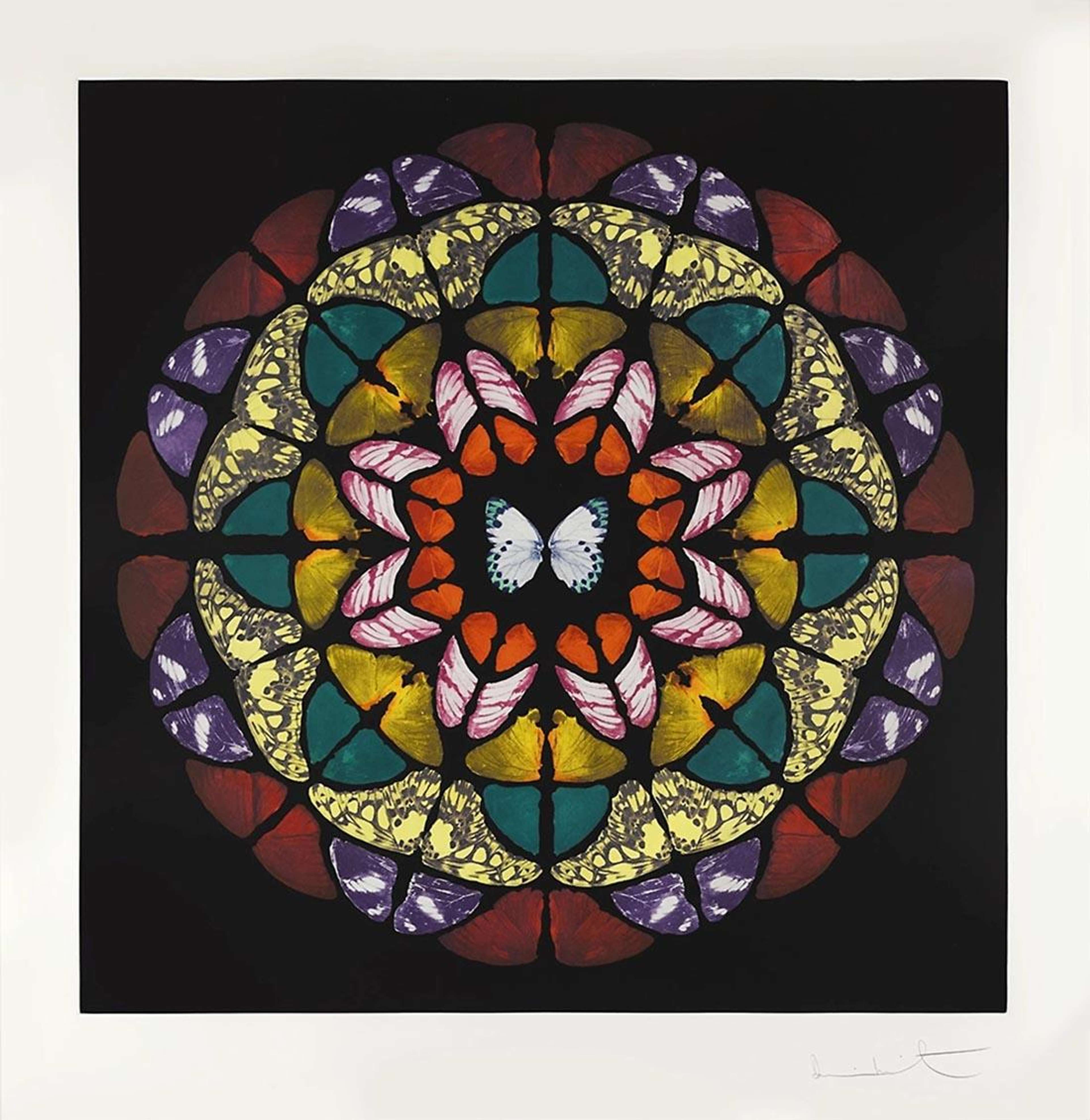 Guide d'achat pour les œuvres de Damien Hirst