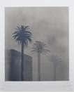 Dark Mist - Signed Print