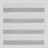Agnes Martin