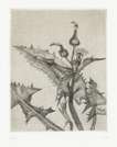 Thistle - Signed Print