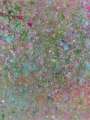 Damien Hirst: H13-2 Kingsdown Beach - Signed Print
