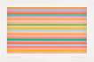 Rose Horizontal - Signed Print